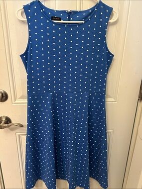 Talbots Blue Polka Dot Sleeveless Fit-and-Flare Dress size M Medium rockabilly